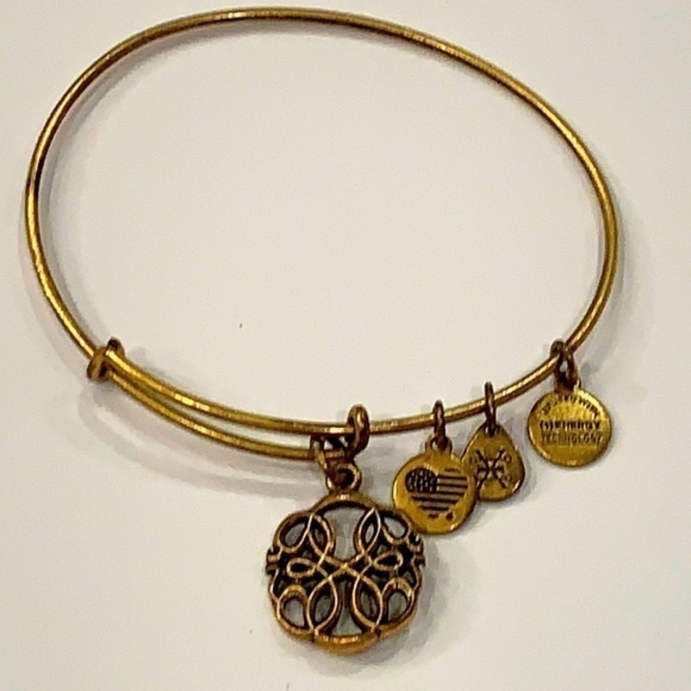 Alex and ani gold tone scroll medallion energy